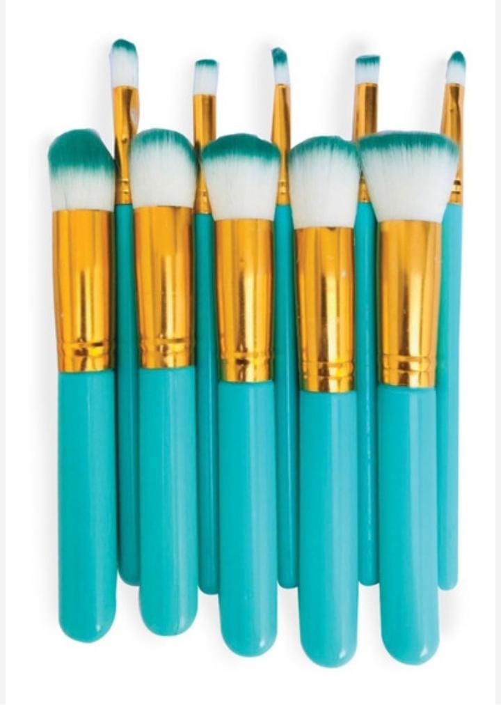 10pcs Makeup Brushes (Random colors)