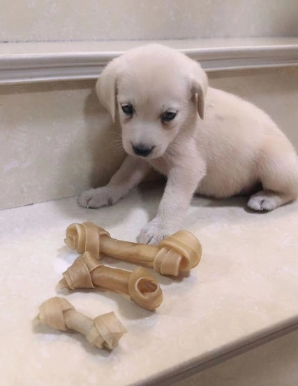 Pet Chewing Toy Bone Shape 3 Pieces