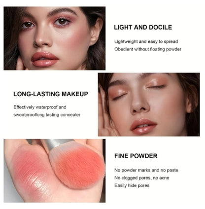 12 colors cream makeup palette