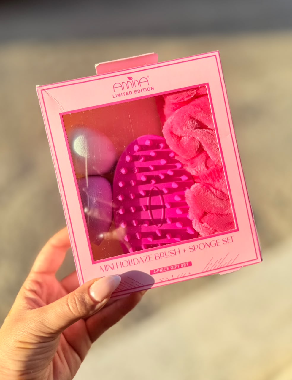 4pcs Holidaze Brush + Sponge Gift Set