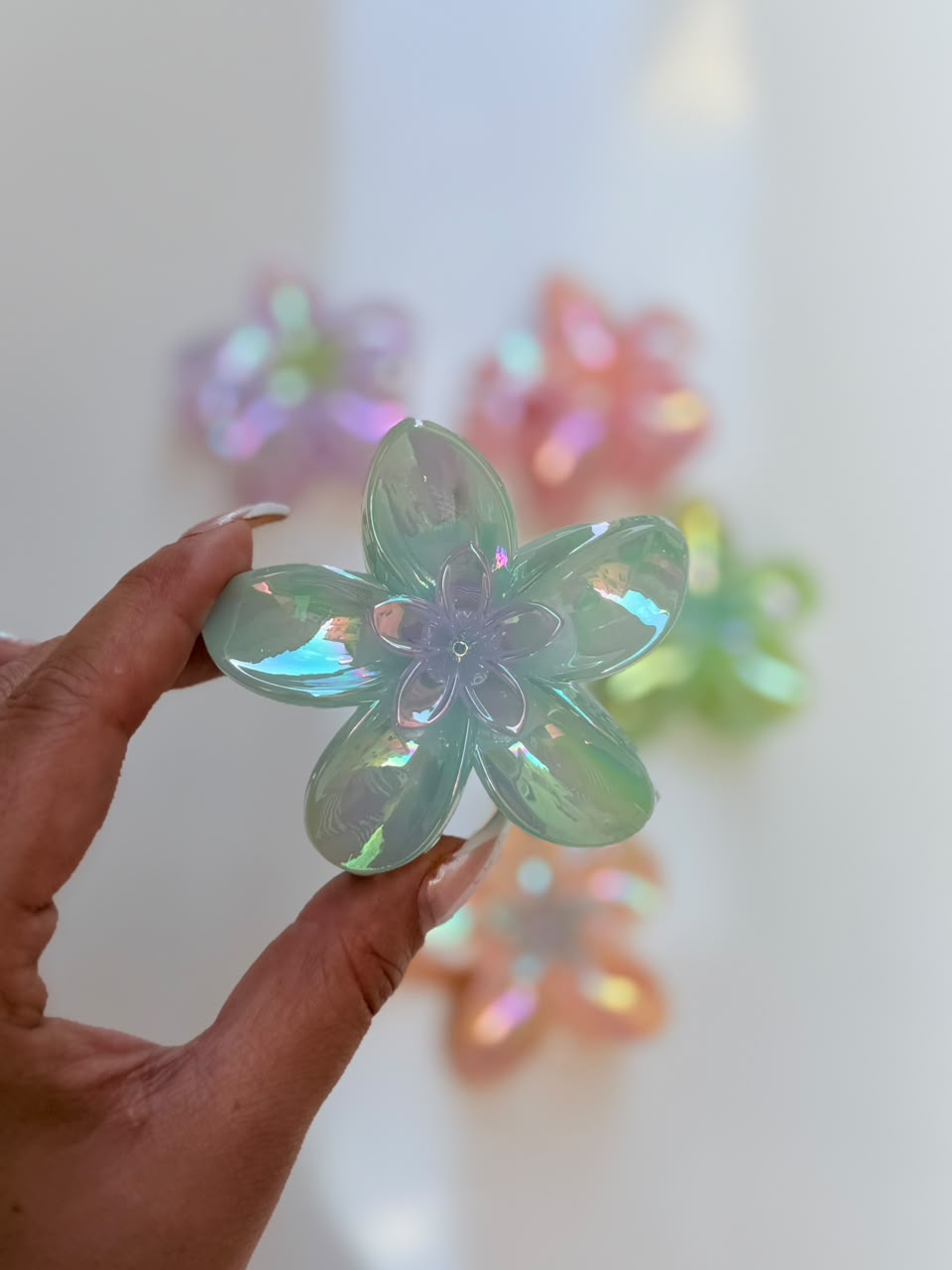 Aurora Bloom Clip
